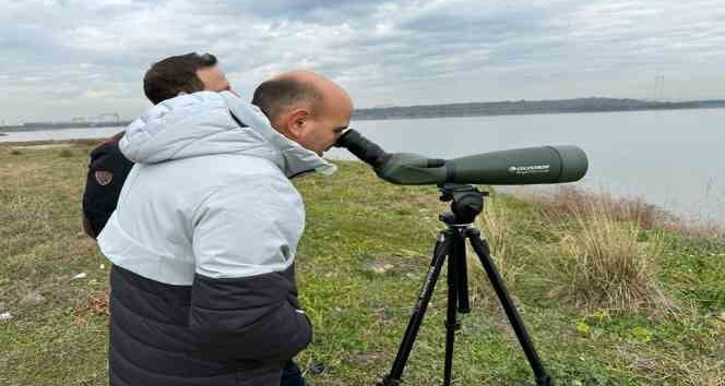 Hersek Lagünü’nde 2023 kış ortası kuş sayımı