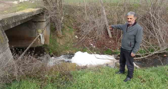 Köylülerden çevre kirliliği tepkisi, atık su arıtma tesisinin çalışmadığı iddiası