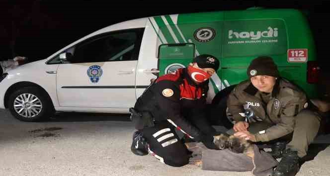 Havaların soğuduğu Uşak’ta sokak canlıları unutulmadı