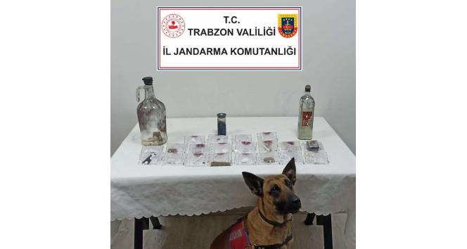 Jandarmadan uyuşturucu partisine baskın