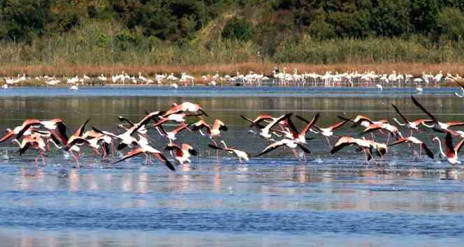 Başkan Metin Oral: “Hersek Lagünü çok değerli bir sulak alandır”