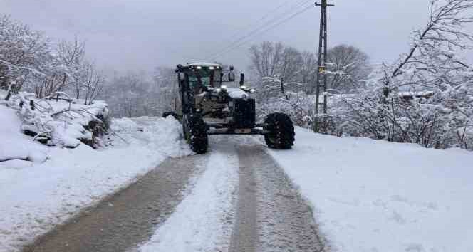 Ordu’da karla mücadele başladı
