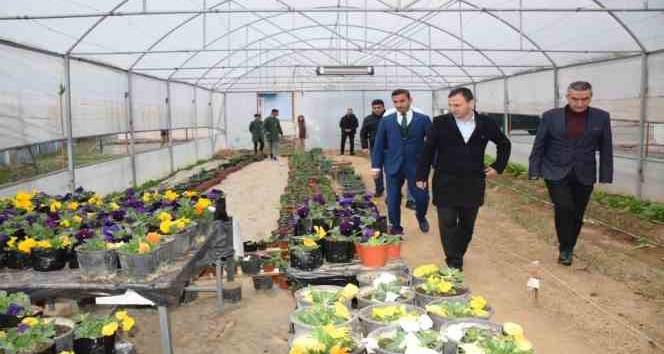 Kozluk’ta parkların  süslenmesi tarım bölümü öğrencilerinden