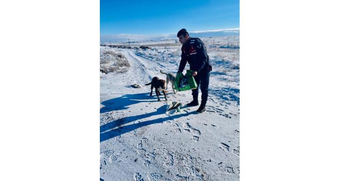 Jandarma, can dostlarını unutmadı