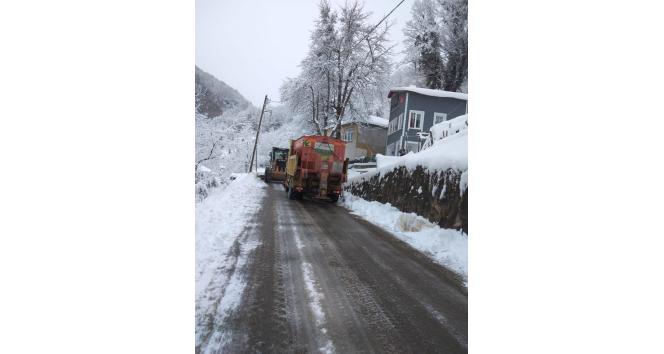 Giresun’da karla mücadele çalışması başlatıldı