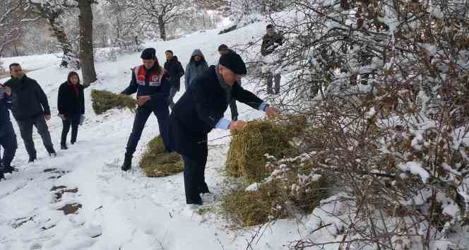 Yaban hayvanları unutulmadı