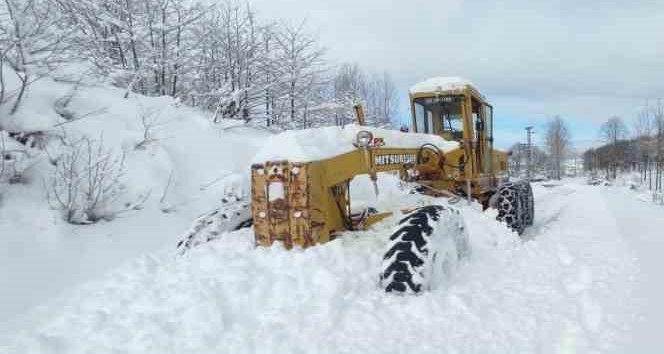 Ordu’da karla kapanan 197 mahalle yolu ulaşıma açıldı