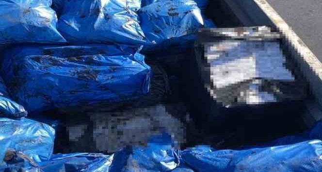 Tırdaki kömür torbalarının arasından çıktı: Elektroniği bile var