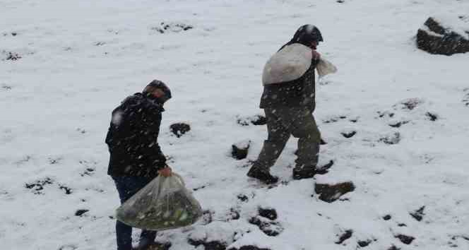 Kırsalda kar esareti devam ederken yaban hayvanları unutulmadı