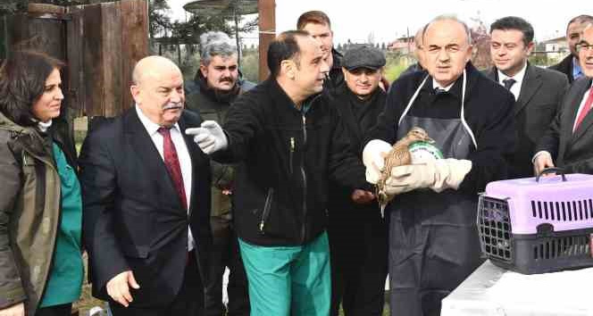 Hersek Lagünü’nde Dünya Sulak Alanları Günü kutlandı