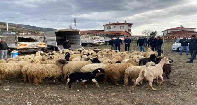 Keçileri yanan çiftçiye destek gecikmedi