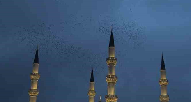 Kırıkkale’de sığırcık kuşlarından görsel şölen