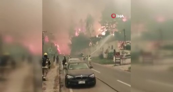 Şilideki orman yangınlarında 4 kişi hayatını kaybetti