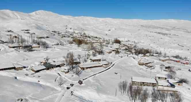 Muş’ta bir köy kara gömüldü