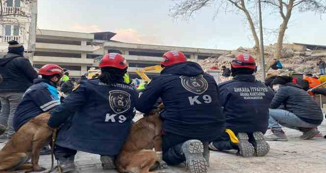 Ankara’nın kahraman patileri 28 kişinin hayatını kurtardı