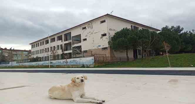Samsun’da okul binaları güçlendiriliyor