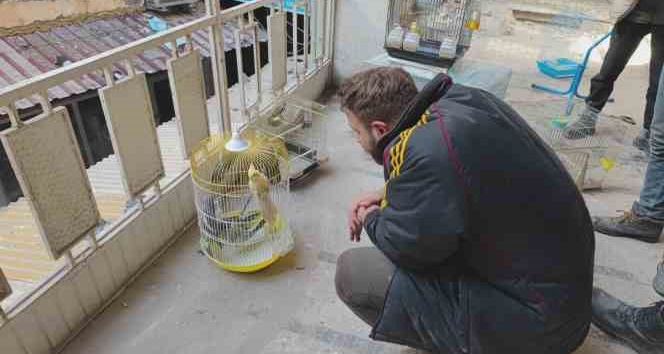 Depremde petshopta mahsur kalan kuşlar kurtarıldı
