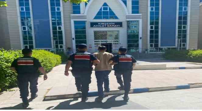 Kırşehir’de jandarma tavuk hırsızını yakaladı