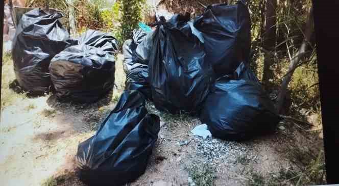 Beyazsu Mesire Alanı’nda vatandaş traktör kiralayarak çöpleri toplatıyor