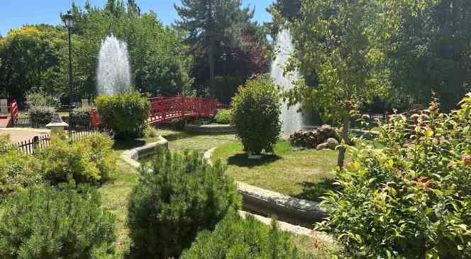 (ÖZEL) Gaziantep’te çiftler doğal fotoğraf stüdyosunu tercih ediyor
