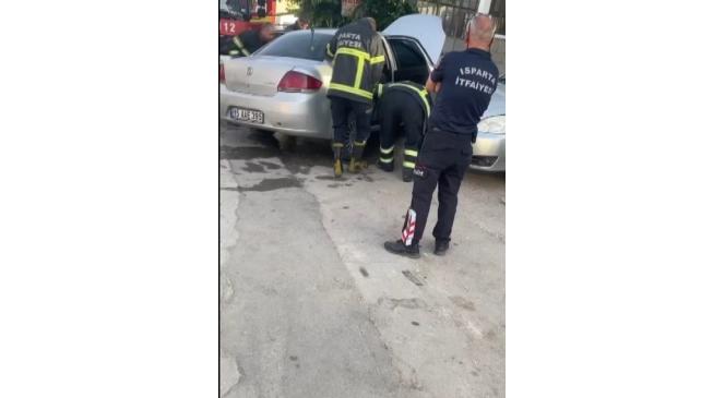 Otomobilin motor kısmına giren yılan bagajdan &ccedil;ıkarıldı
