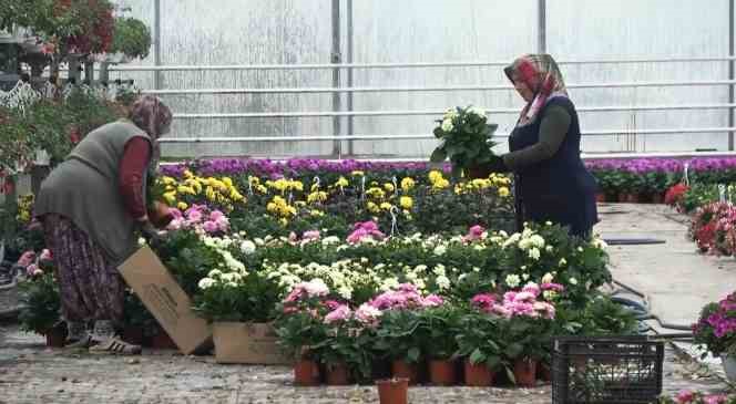 Yalova&rsquo;dan 2023&rsquo;&uuml;n ilk 6 ayında 193 milyon dolarlık ihracat
