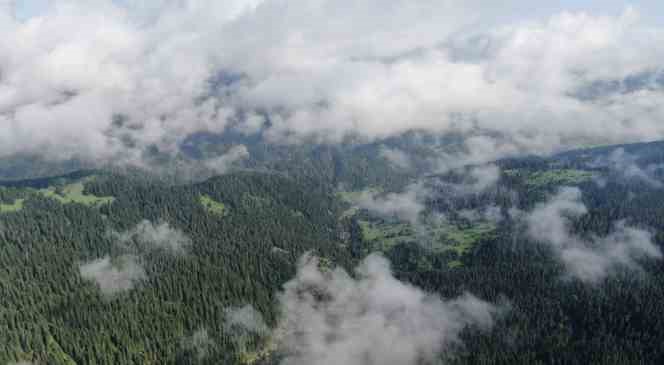 Kastamonu&rsquo;da ormanlık alanlara girişler yasaklandı
