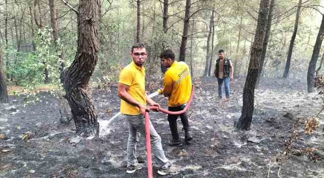 Osmaniye’deki orman yangını kontrol altına alındı
