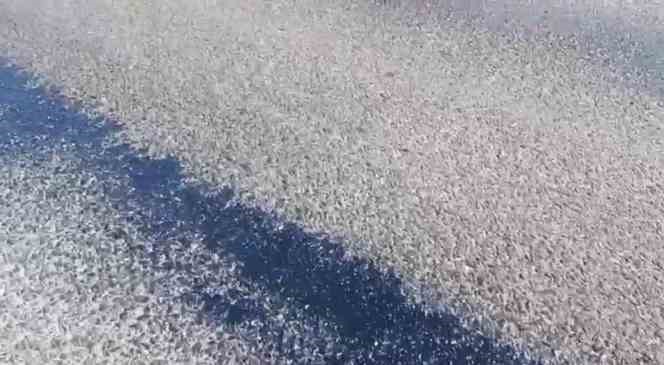 Mardin&rsquo;de sıcaklardan asfalt eridi
