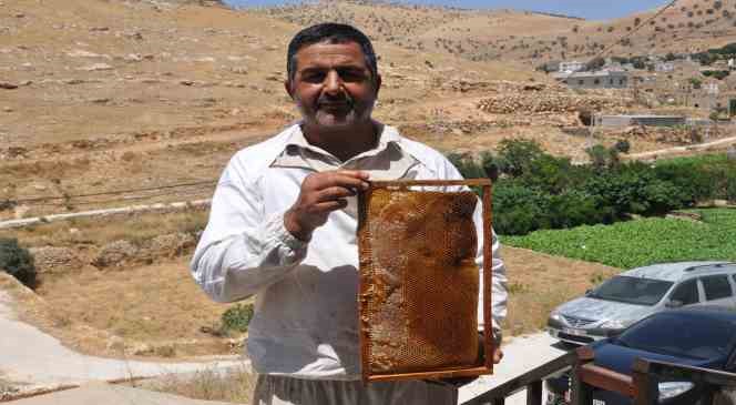 Mardin&rsquo;de doğal g&uuml;zelliğiyle bilinen Gurs Vadisi&rsquo;nde bal hasadı başladı
