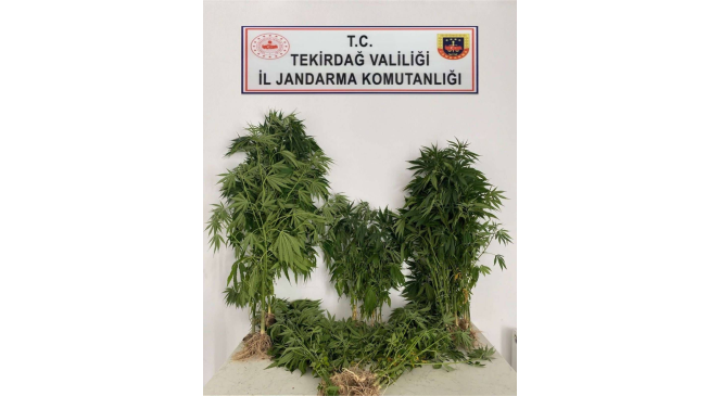 Tekirdağ’da zehir tacirlerine darbe: 7 zanlı gözaltına alındı