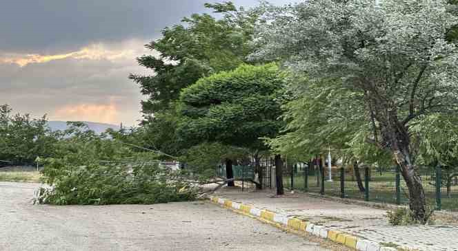 Erzincan&rsquo;da fırtına ağa&ccedil;ları devirdi, &ccedil;atıları u&ccedil;urdu
