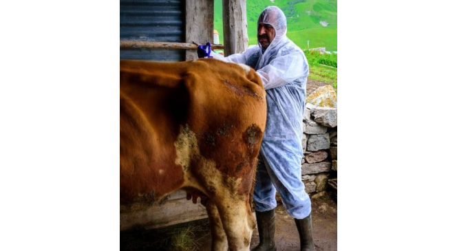 Ardahan&rsquo;da şap alarmı
