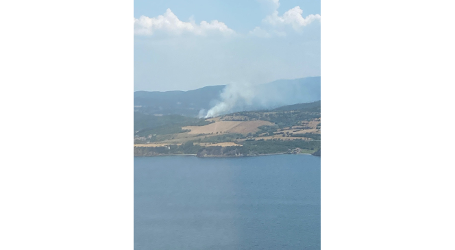 &Ccedil;anakkale&rsquo;deki orman yangınında yaklaşık 1 d&ouml;n&uuml;m alan zarar g&ouml;rd&uuml;
