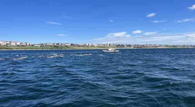 5. Büyükçekmece Körfezi Açık Deniz Yüzme Yarışı yoğun ilgi gördü