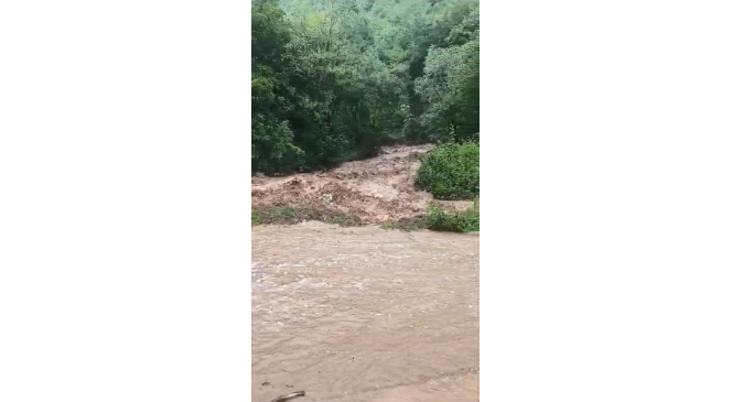 Artvin’de sağanak sonrası dereler taştı, tarım arazileri zarar gördü