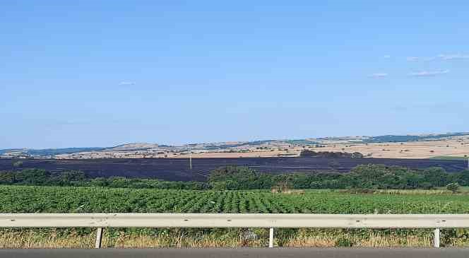 Keşan&rsquo;da tarla yangınında 2 bin d&ouml;n&uuml;me yakın arazi k&uuml;le d&ouml;nd&uuml;
