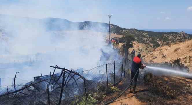 Gelibolu&rsquo;da ağıl yangınında 150 k&uuml;&ccedil;&uuml;kbaş hayvan telef oldu

