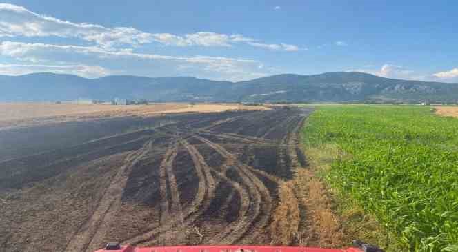 Burdur&rsquo;da &ccedil;ıkan yangında 20 dekar tarım arazisi k&uuml;le d&ouml;nd&uuml;
