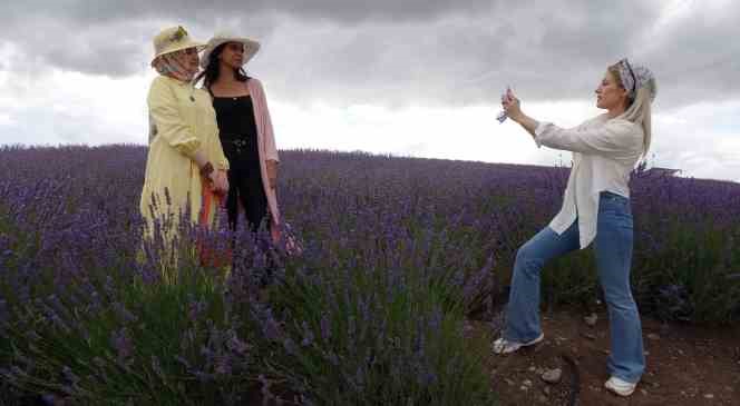 Yarım ada &uuml;zerinde oluşturulan lavanta bah&ccedil;esi havadan g&ouml;r&uuml;nt&uuml;lendi
