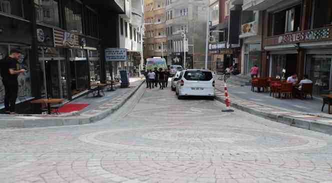 Hakkari’de ‘Sanat Sokağı’ çalışması