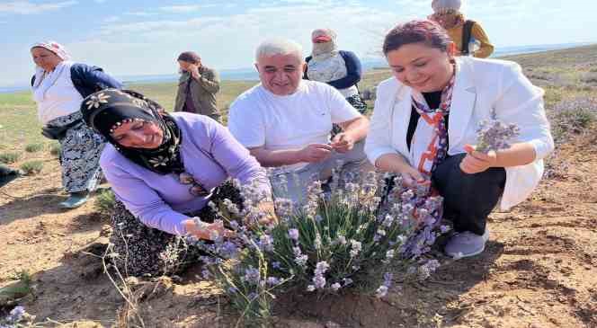 AK Parti İl Başkanlığından kadın girişimlere destek
