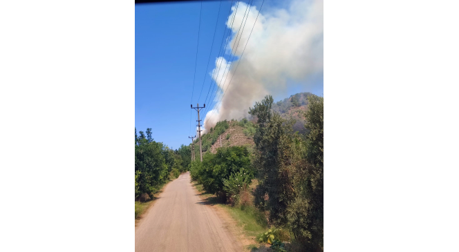 Ortaca orman yangına havadan karadan müdahale devam ediyor