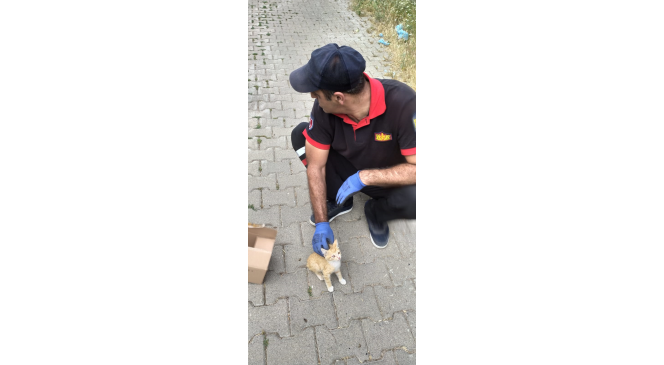 Bing&ouml;l&rsquo;de tellere sıkışan yavru kediyi itfaiye kurtardı
