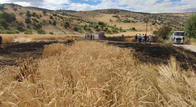 Tunceli&rsquo;de 15 d&ouml;n&uuml;m ekili alan k&uuml;l oldu
