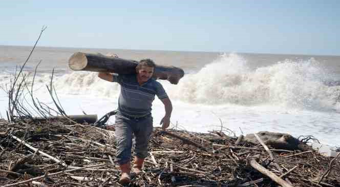 Kışlık yakacak ihtiyaçları için selin Karadeniz’e sürüklediği odunları topluyorlar