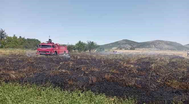 Burdur’da 1 dönüm tarım arazisi yanarak kül oldu