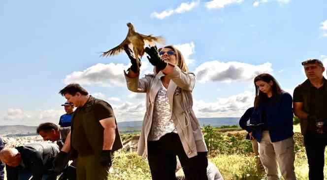 Kapadokya&rsquo;da keneye keklikli &ccedil;&ouml;z&uuml;m
