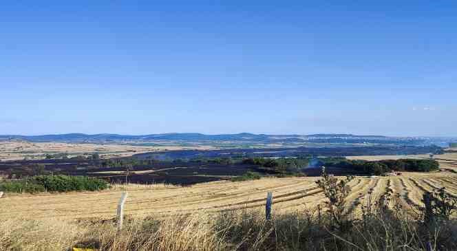 Keşan’daki arazi yangınında bin 226 dönüm buğday kül oldu