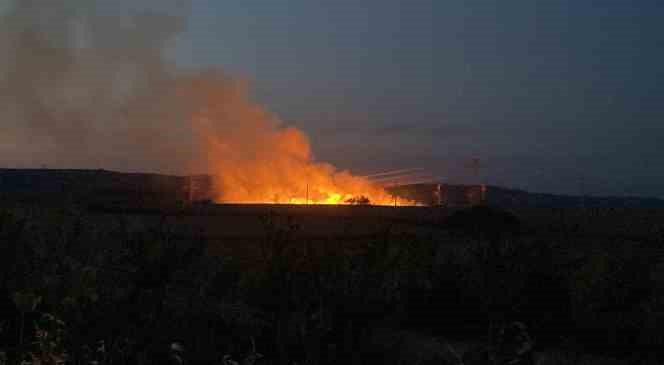 Edirne&rsquo;de buğday tarlasında yangın
